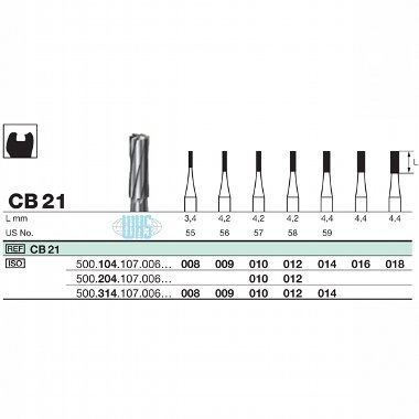 burs dental23