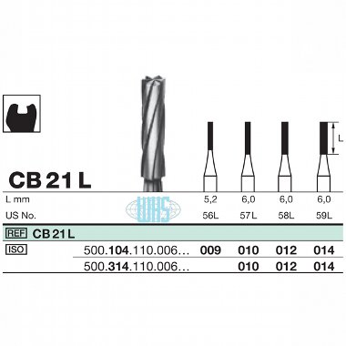 burs dental24