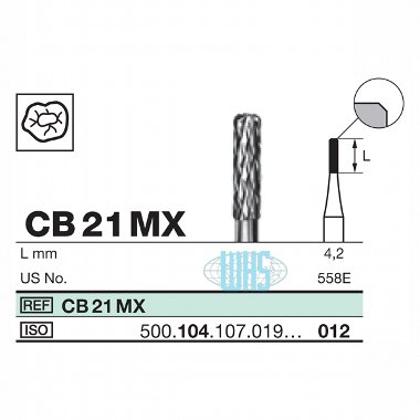 burs dental25