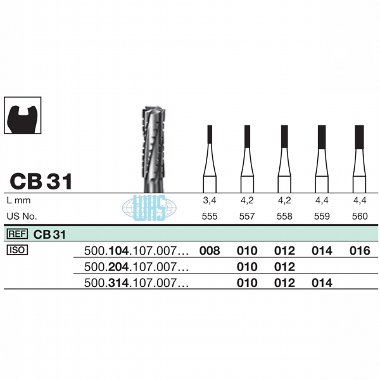 burs dental26