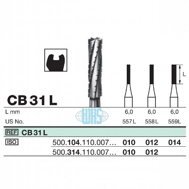 burs dental27