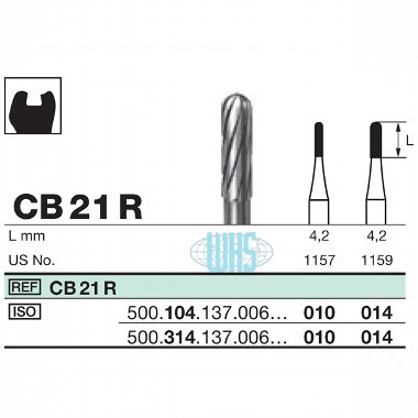 burs dental28