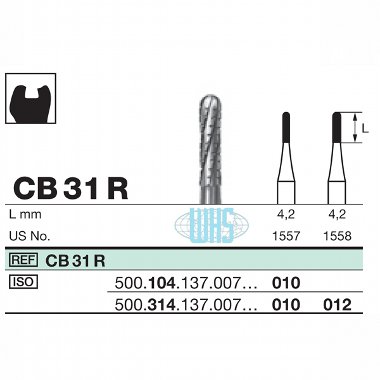 burs dental29