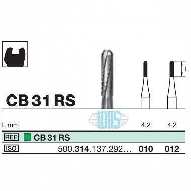 burs dental30