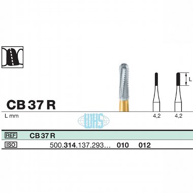 burs dental34