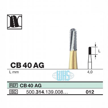 burs dental35
