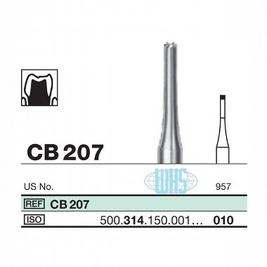 burs dental43