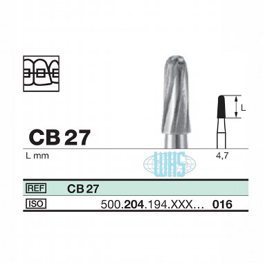 burs dental50