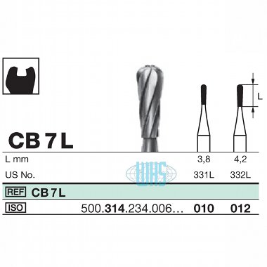 burs dental7