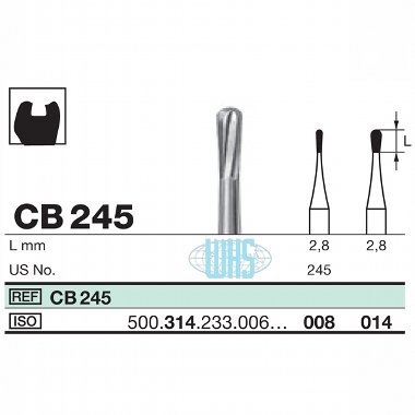 burs dental8