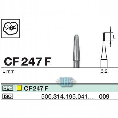 burs dental