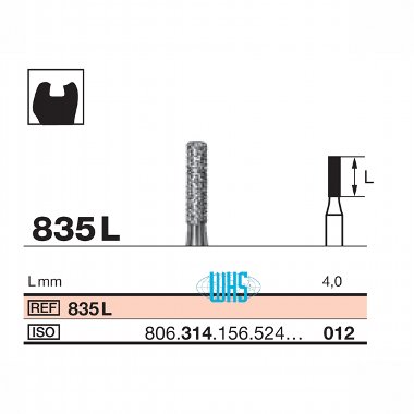 burs dental diamond 31